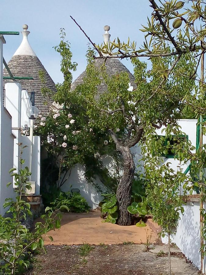 אוסטוני Trulli Di Ivana מראה חיצוני תמונה